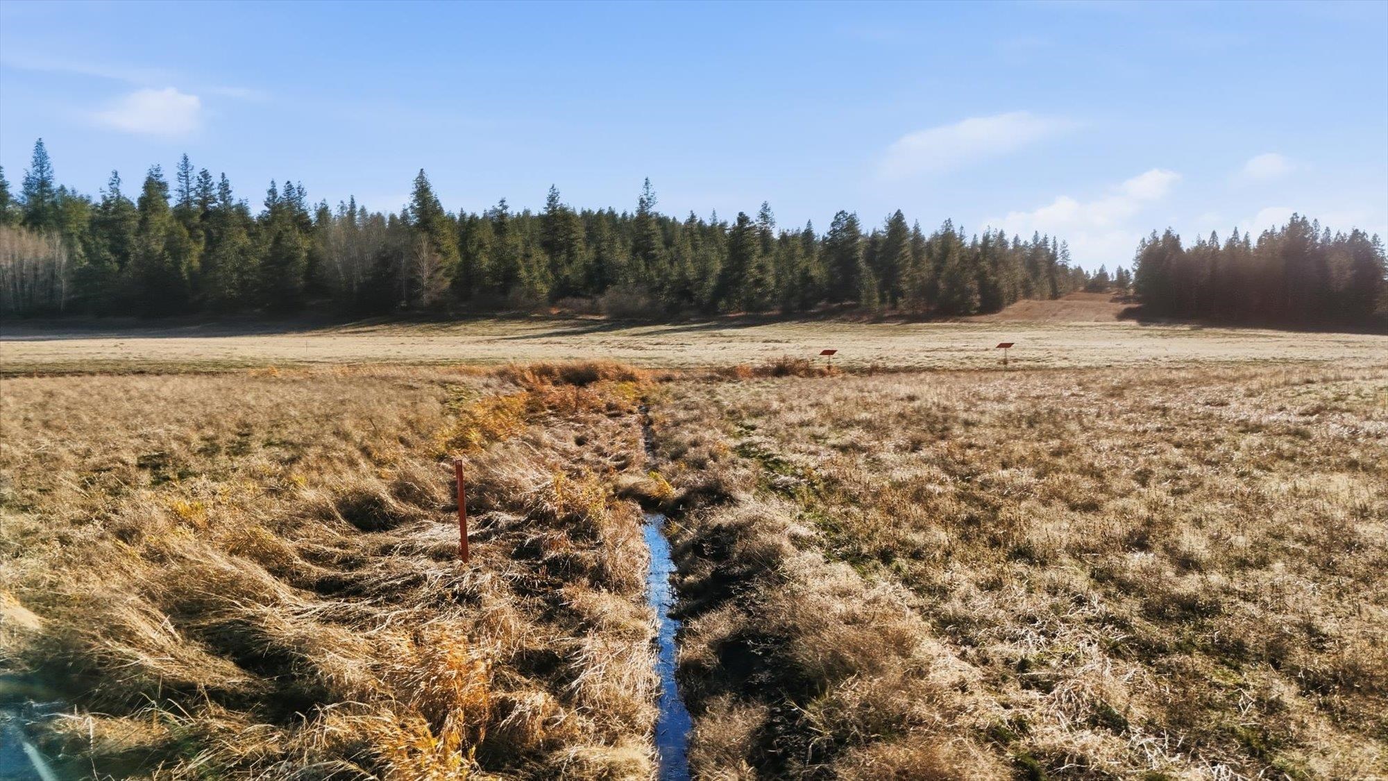 14828 East Belmont Road Mica, WA 99023 - Photo 9 of 18