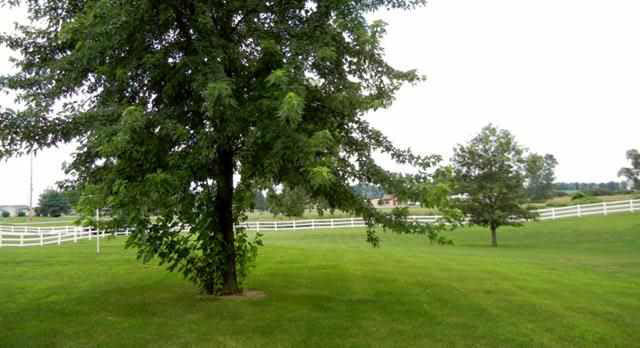 6065 North Van Guilder Road Fremont, IN 46737 - Photo 14 of 19 Gallery Image 14