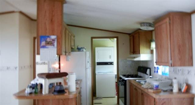 6065 North Van Guilder Road Fremont, IN 46737 - Photo 4 of 19 Gallery Image 4