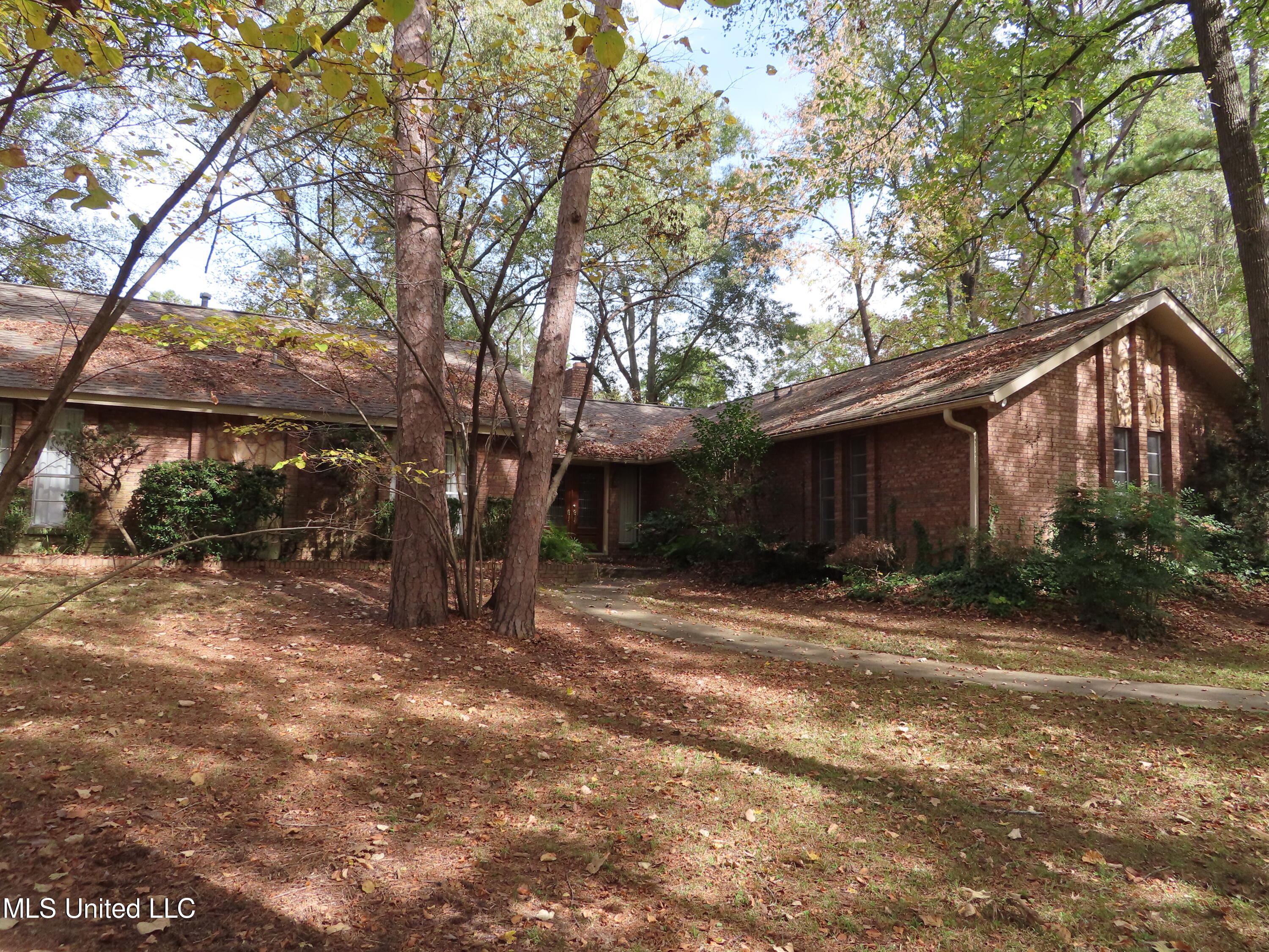 304 Camp Garaywa Road Clinton, MS 39056 - Photo 1 of 23 IMG_2656