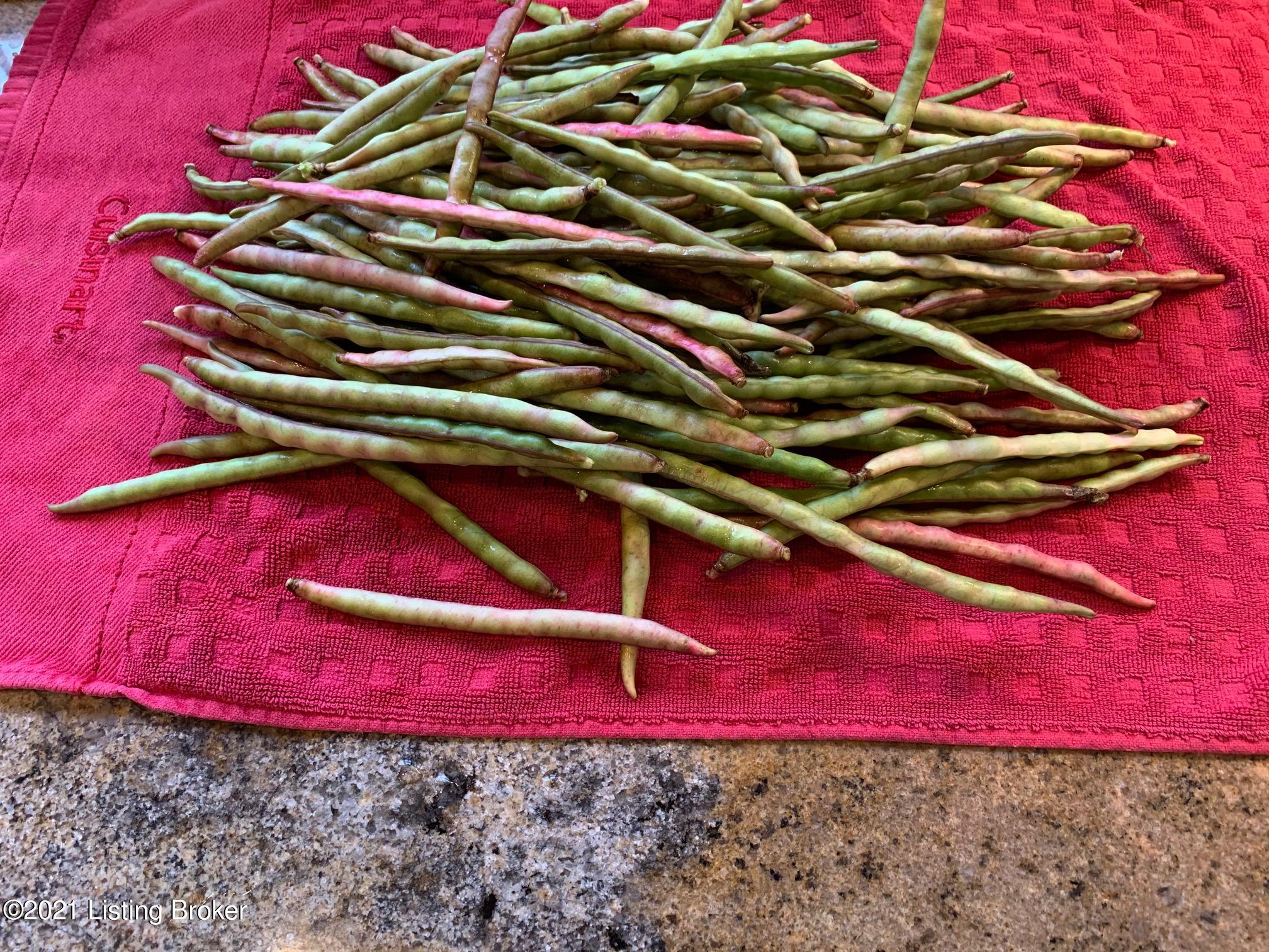 15301 Deer Run Road Louisville, KY 40299 - Photo 41 of 95 Garden Harvest