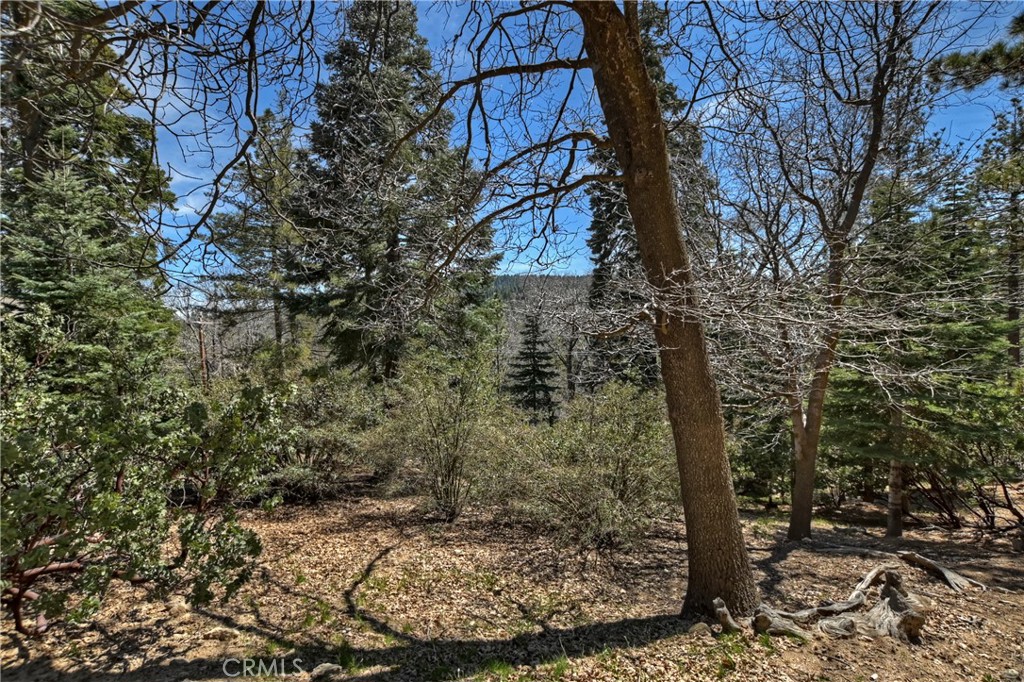 26285 Augusta Drive Lake Arrowhead, CA 92352 - Photo 15 of 47 a view of a tree with a yard