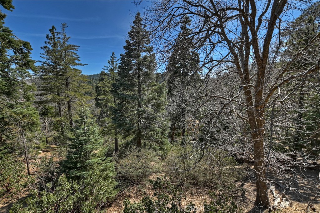 26285 Augusta Drive Lake Arrowhead, CA 92352 - Photo 41 of 47 a view of a tree in a yard
