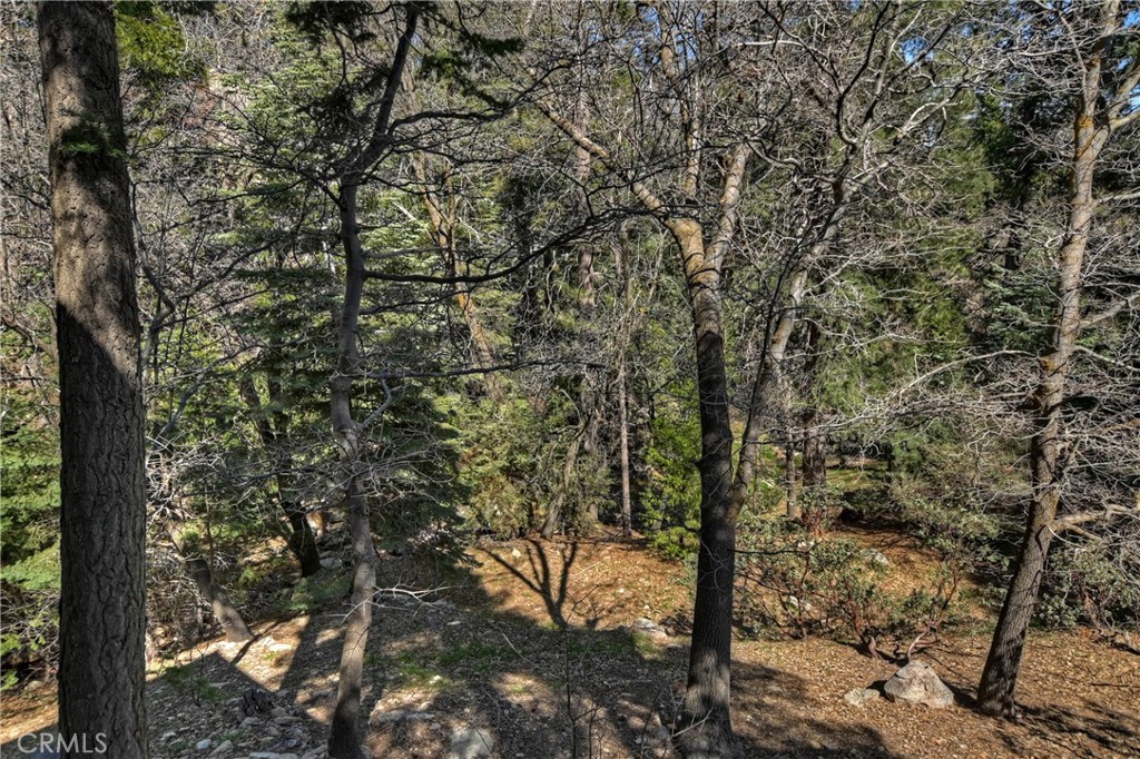 26285 Augusta Drive Lake Arrowhead, CA 92352 - Photo 44 of 47 a view of forest