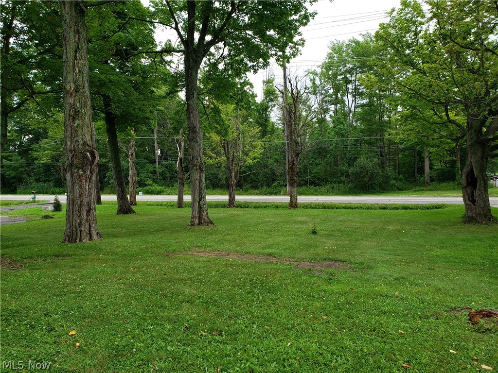 16444 Mayfield Road Huntsburg, OH 44046 - Photo 30 of 30 Front yard