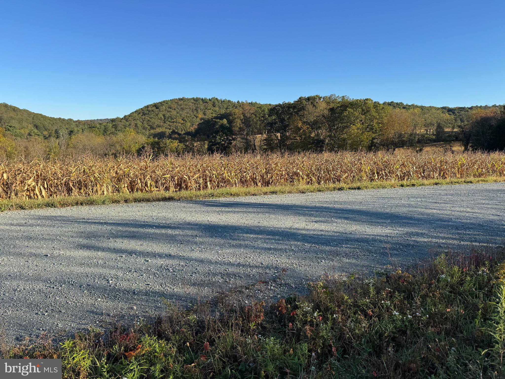 Lot 5 Wild Turkey Road New Ringgold, PA 17960 - Photo 2 of 2 a view of lake and mountain view
