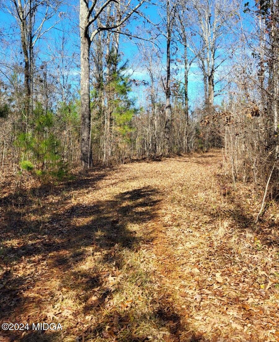 - Abercrombie Road Forsyth, GA 31029 - Photo 1 of 3 image0000 (002)-001