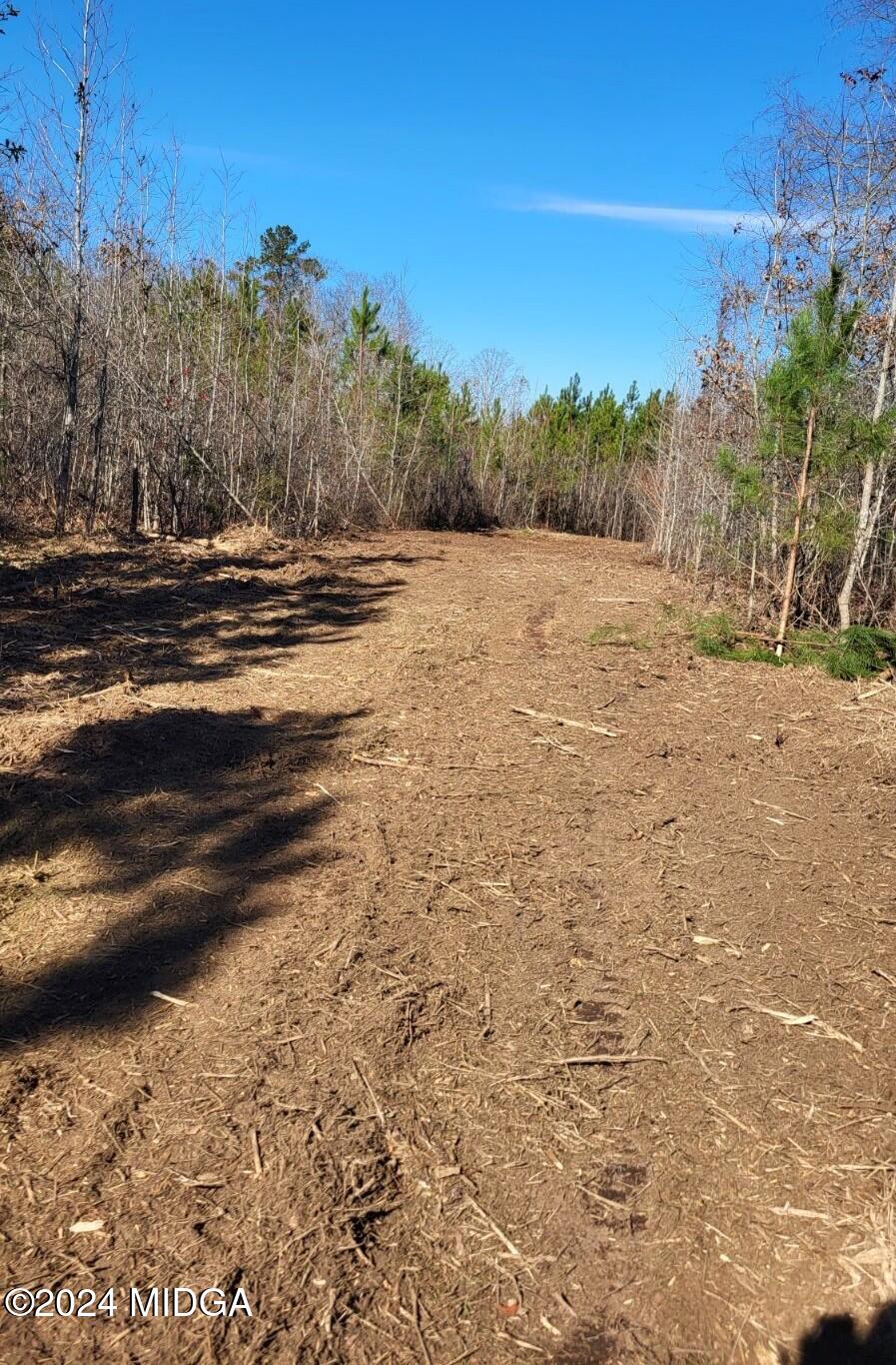 - Abercrombie Road Forsyth, GA 31029 - Photo 2 of 3 image0000
