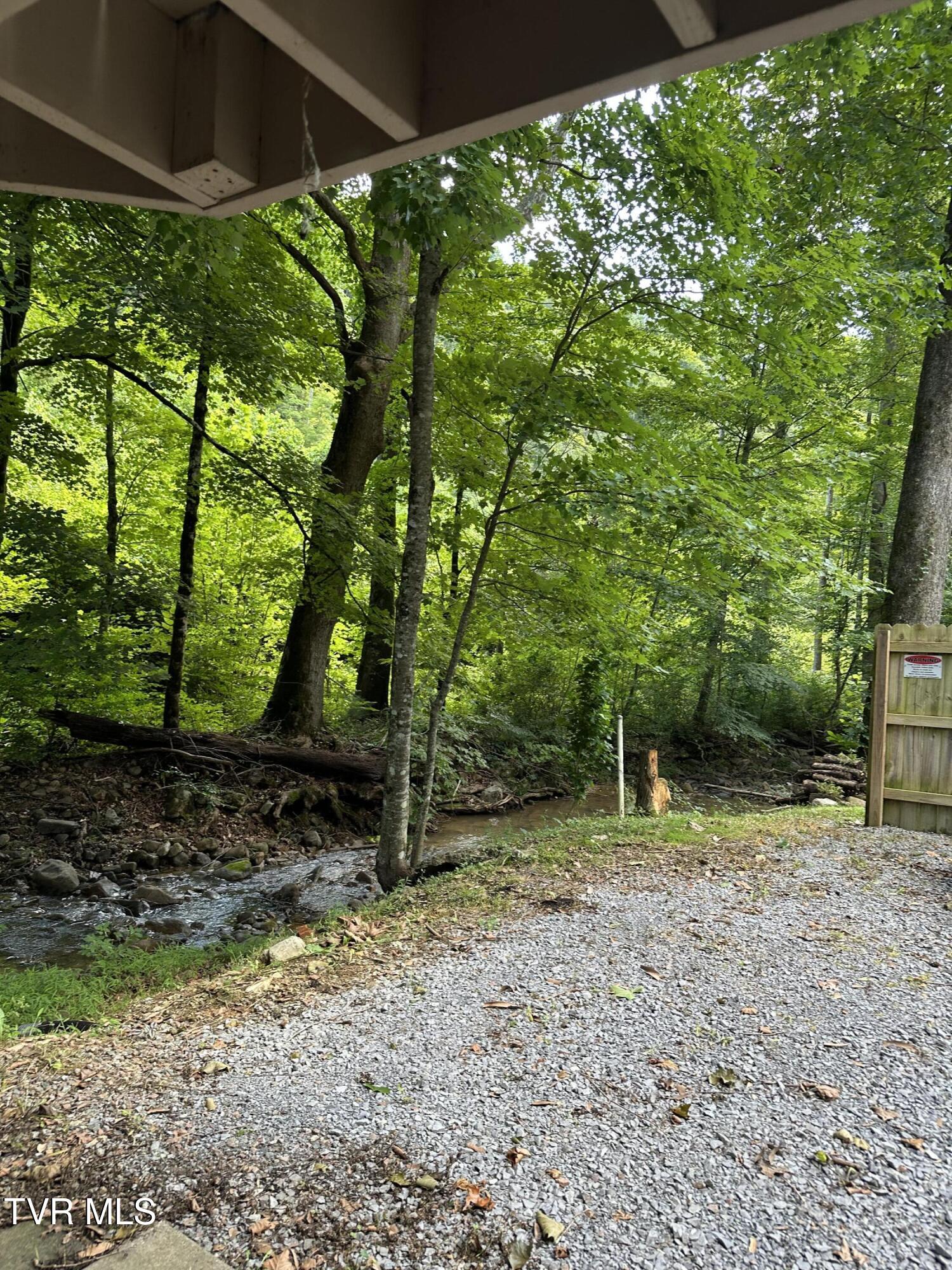 6539 Big Dry Run Road Butler, TN 37640 - Photo 84 of 93 IMG_8798