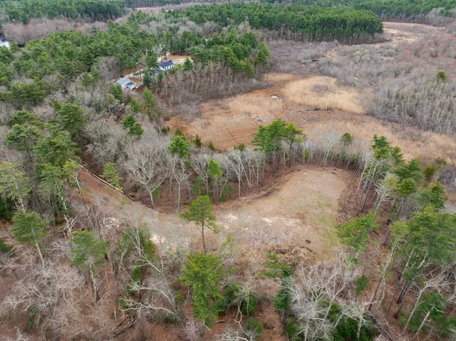 a view of a dirt pathway both side of yard