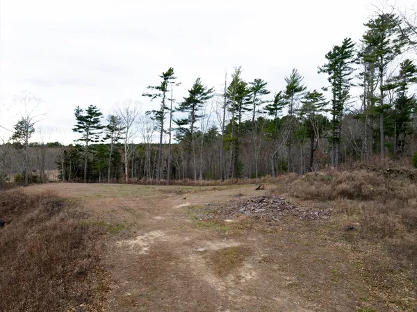 a view of a yard with trees