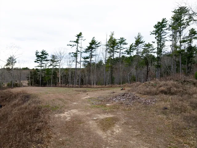 a view of a yard with trees