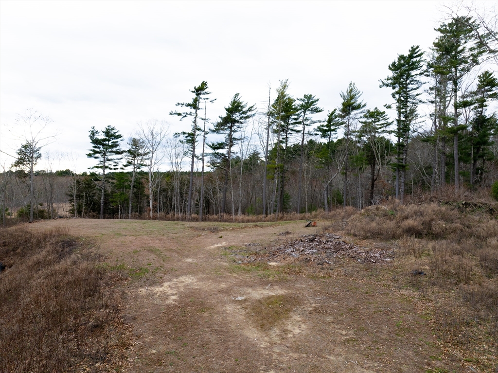 17 Station Street Wareham, MA 02571 - Photo 3 of 8 a view of a yard with trees