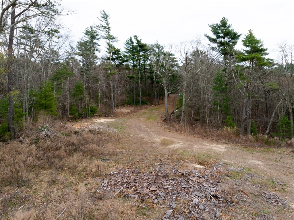 17 Station Street Wareham, MA 02571 - Photo 5 of 8 a view of outdoor space with trees all around