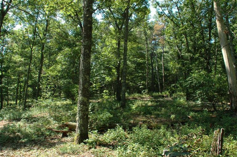 68 Cedarwood Road Cotuit, MA 02635 - Photo 2 of 3 Additional Photo