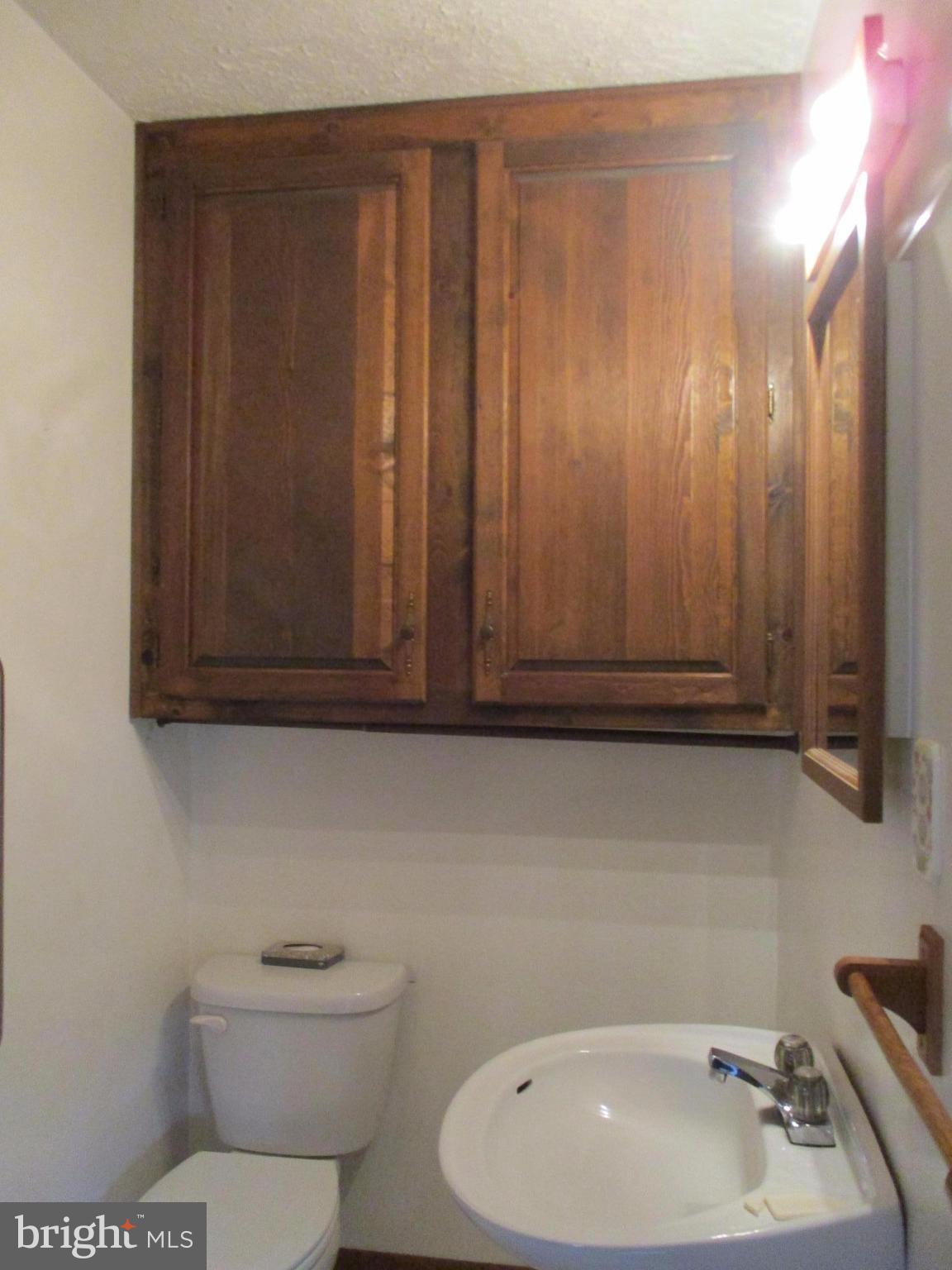 1295 Pious Ridge Road Berkeley Springs, WV 25411 - Photo 18 of 28 Bath