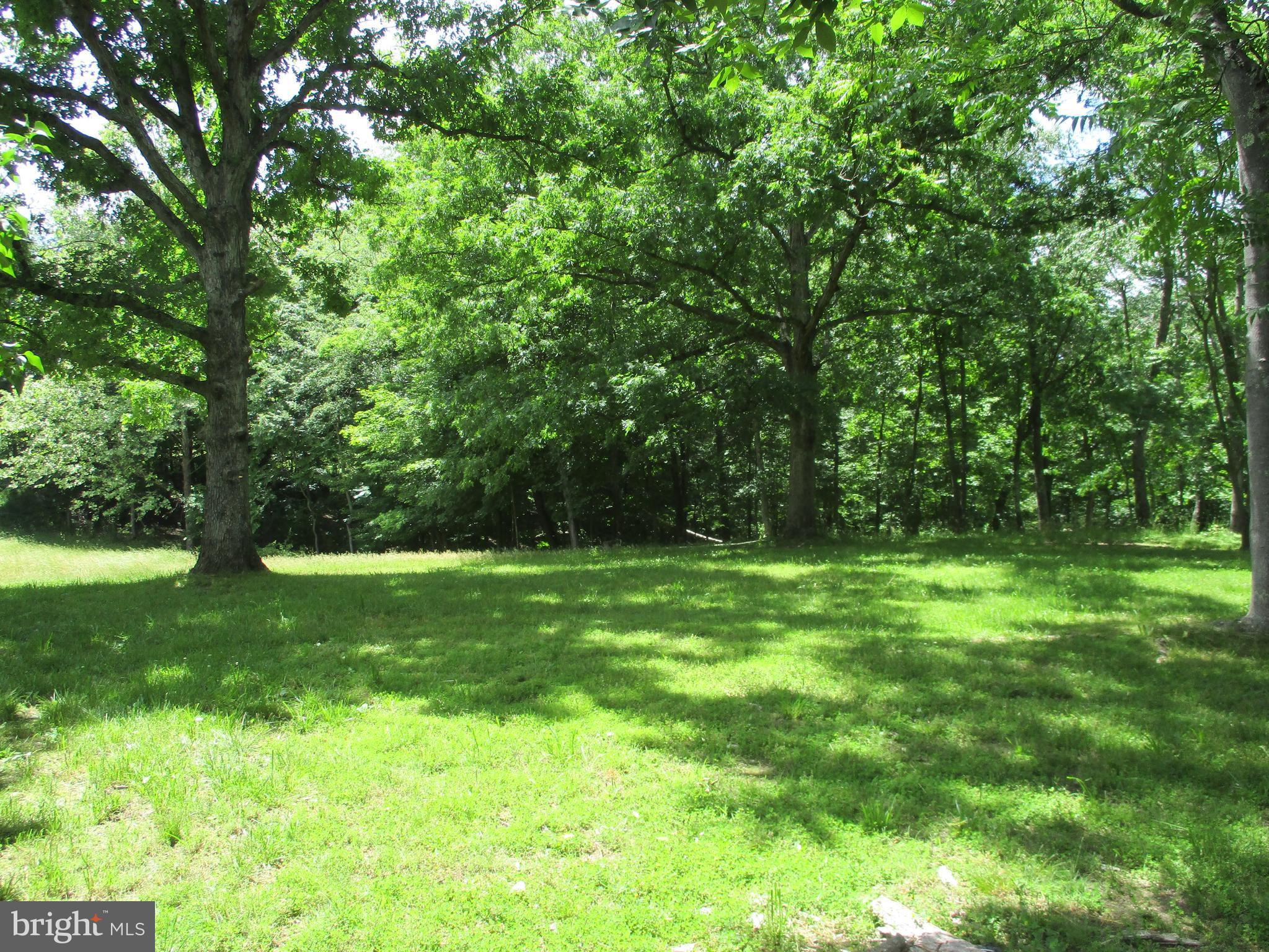 1295 Pious Ridge Road Berkeley Springs, WV 25411 - Photo 27 of 28 Exterior (General)