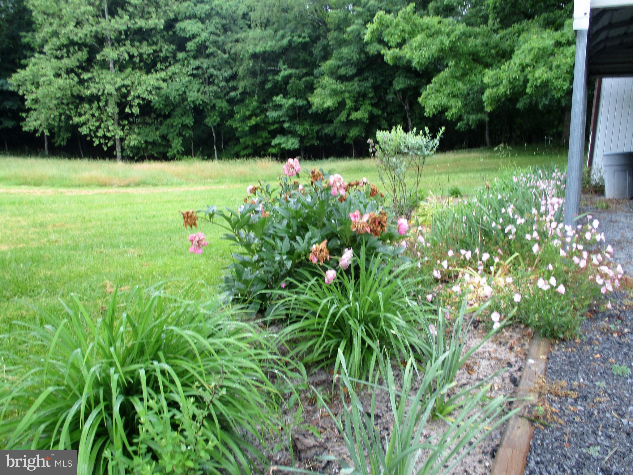 1295 Pious Ridge Road Berkeley Springs, WV 25411 - Photo 5 of 28 Exterior (General)