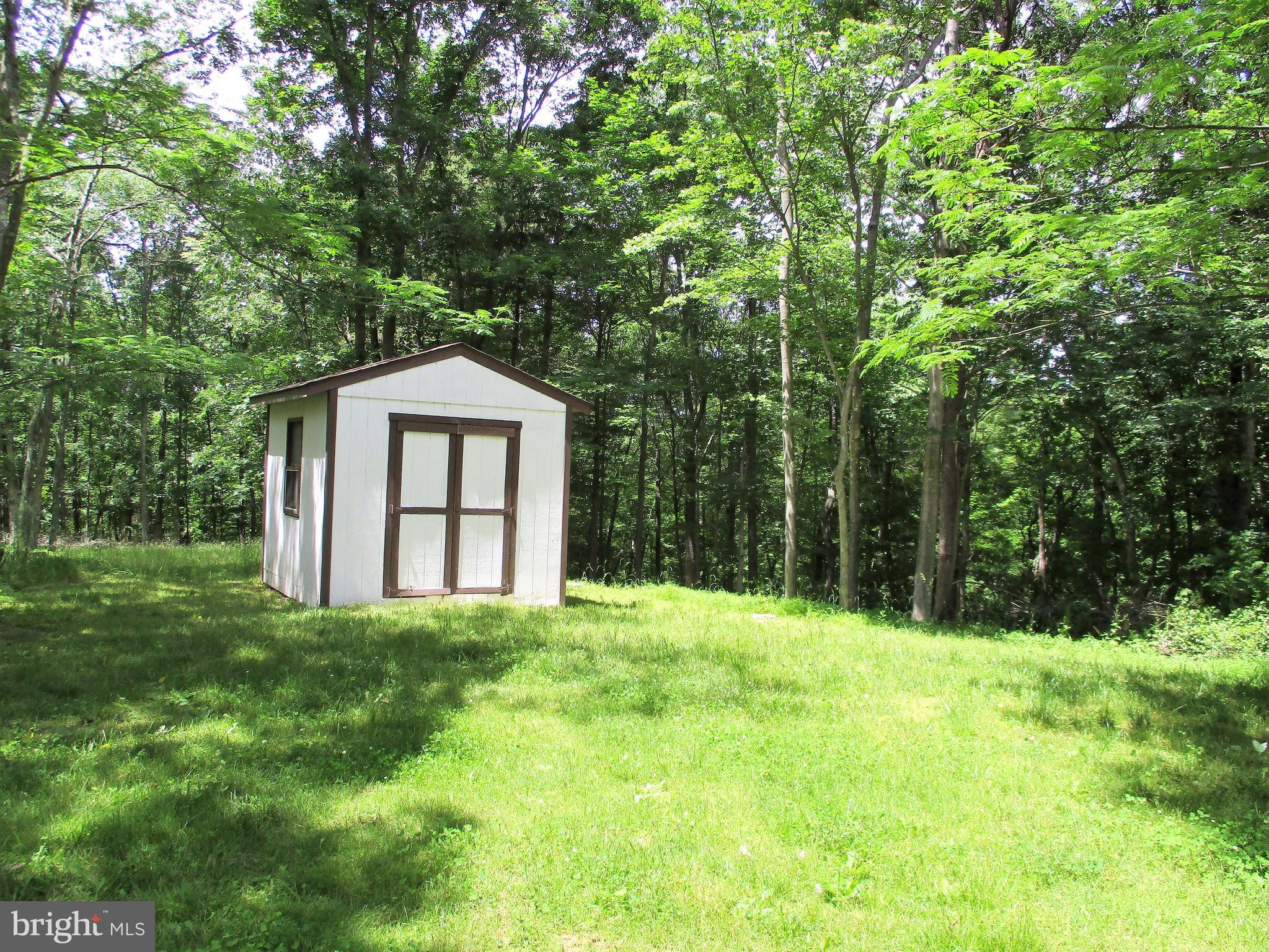 1295 Pious Ridge Road Berkeley Springs, WV 25411 - Photo 7 of 28 Exterior (Rear)