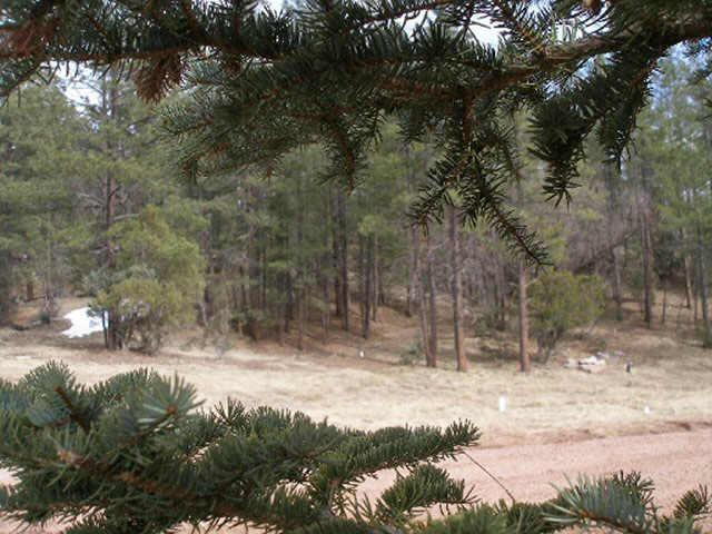 0 East Running Elk Road, Unit 4C Payson, AZ 85541 - Photo 1 of 6 Primary Photo