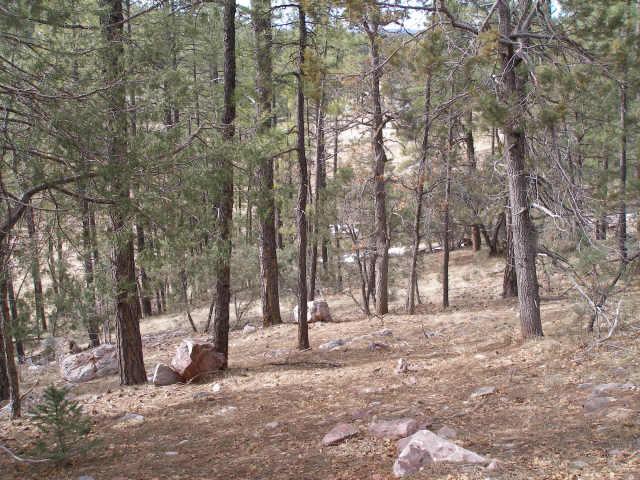 0 East Running Elk Road, Unit 4C Payson, AZ 85541 - Photo 2 of 6 Additional Photo