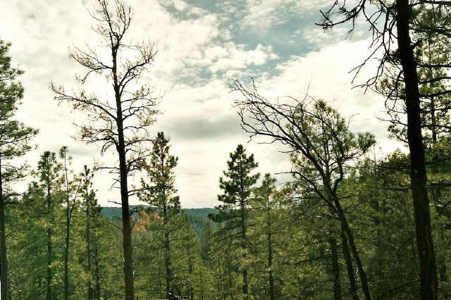 0 East Running Elk Road, Unit 4C Payson, AZ 85541 - Photo 3 of 6 Additional Photo