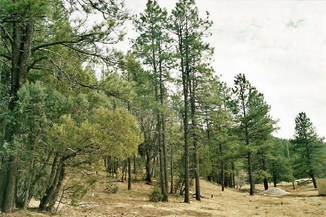 0 East Running Elk Road, Unit 4C Payson, AZ 85541 - Photo 6 of 6 Additional Photo