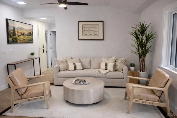 a living room with furniture and a potted plant