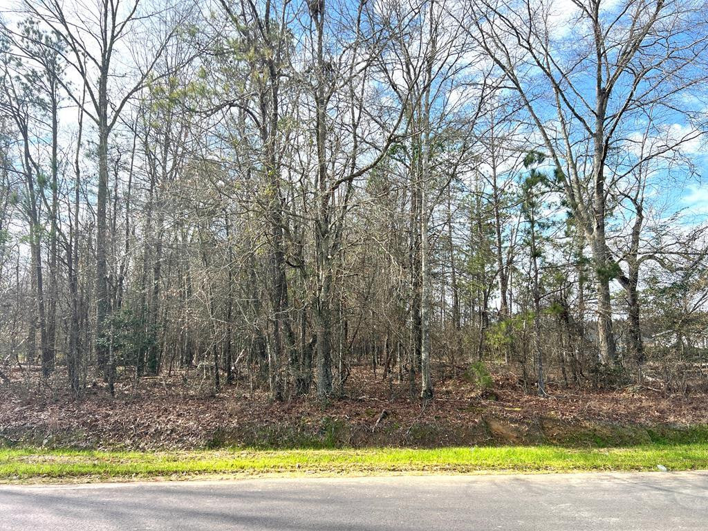 0 Easy Street Rembert, SC 29128 - Photo 2 of 10