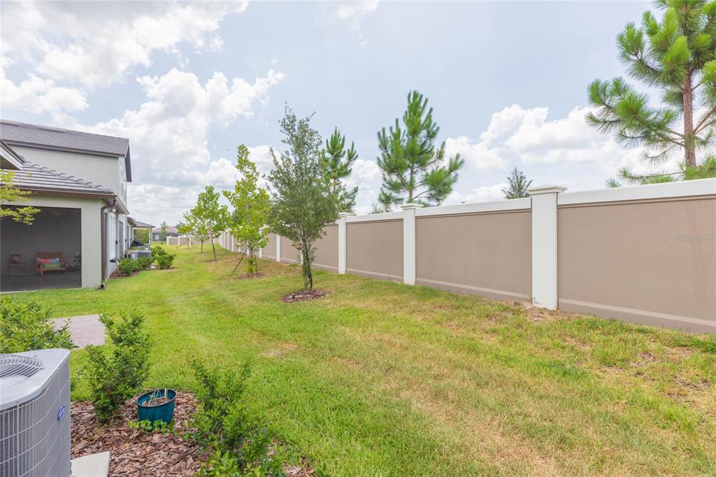 10806 Gable Dig Loop San Antonio, FL 33576 - Photo 41 of 73 a view of backyard of house with green space
