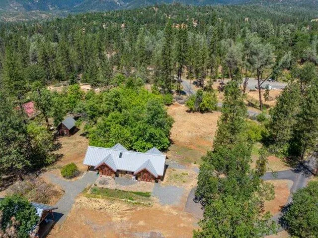 a view of a backyard with a large tree