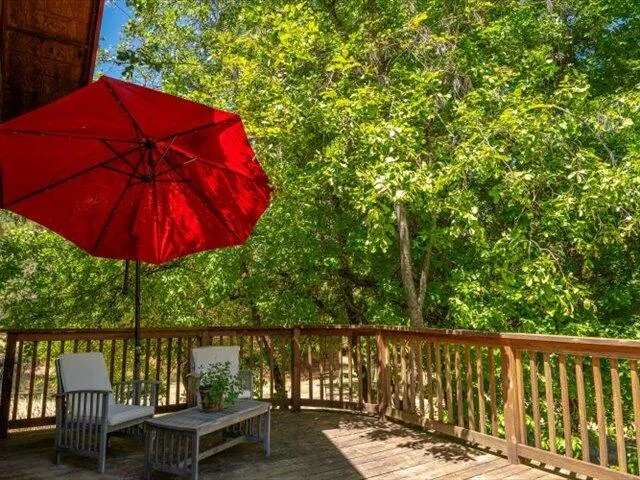 a view of a house with a yard plants and large tree