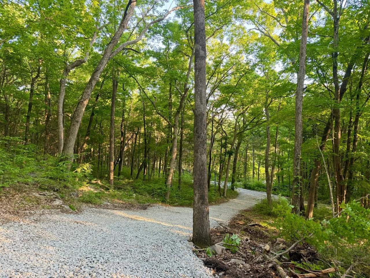 0 Blue Level Road Rockfield, KY 42274 - Photo 23 of 24 Gallery Image 23