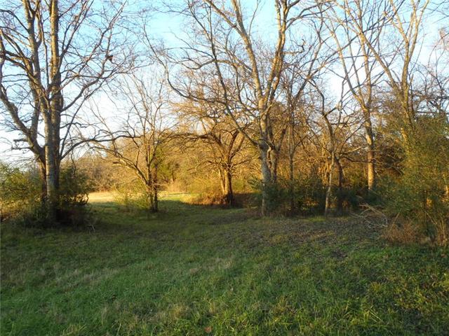 7779 Lowe Road Christiana, TN 37037 - Photo 18 of 20 Wooded area near creek...