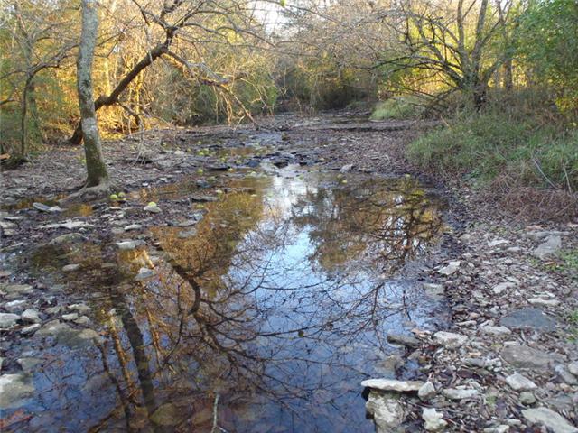 7779 Lowe Road Christiana, TN 37037 - Photo 20 of 20 This creek is on the back of the property and will make a perfect place for camping and relaxing..