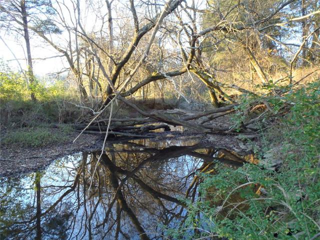 7779 Lowe Road Christiana, TN 37037 - Photo 5 of 20 Nice creek and house is not sitting in a flood plain.. These owners do not pay flood insurance of any kind..