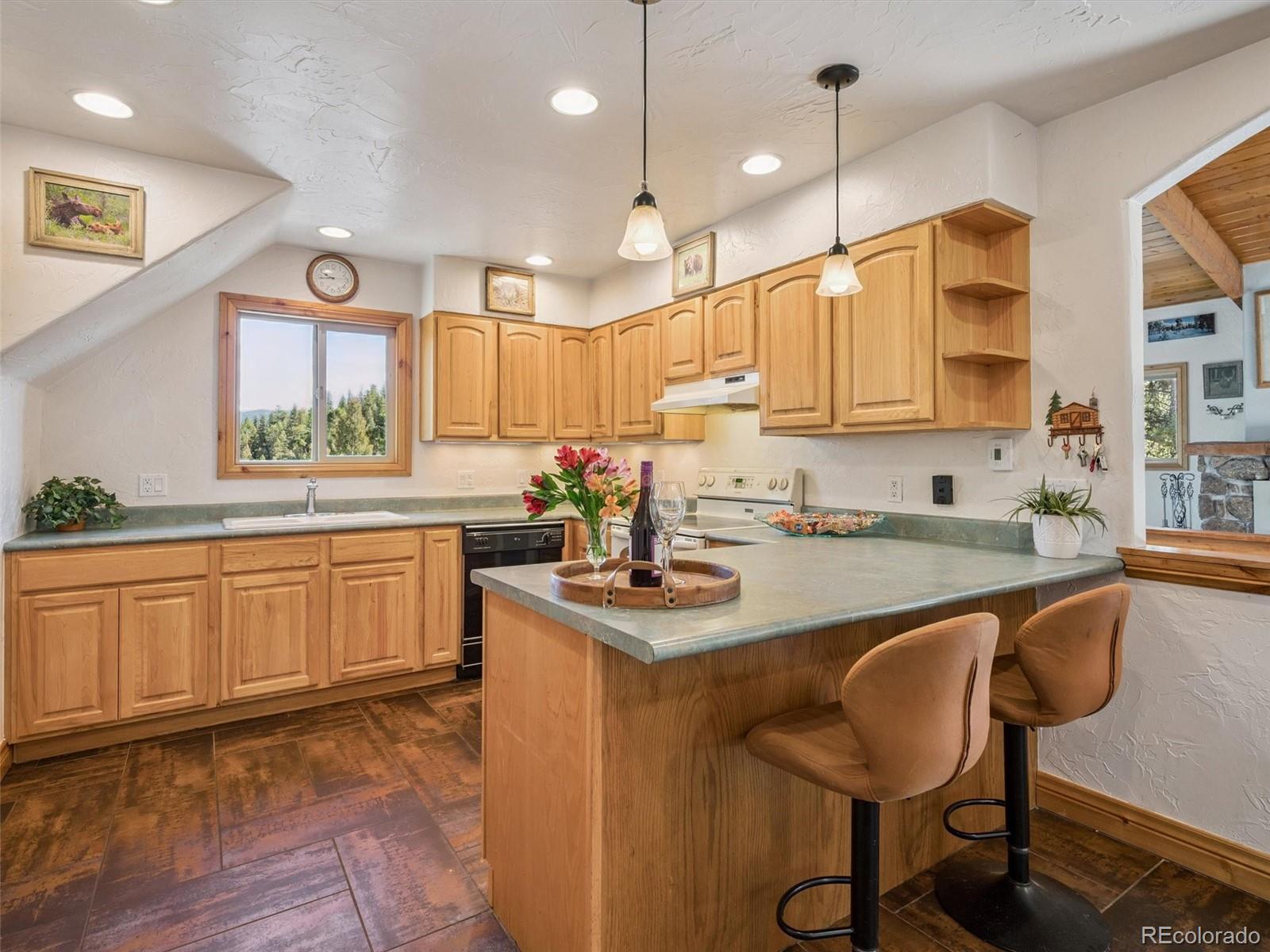 34273 Ponca Road Pine, CO 80470 - Photo 11 of 29