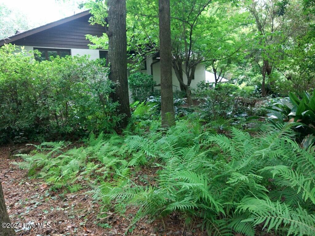 248 Ravenswood Road Hampstead, NC 28443 - Photo 57 of 71 Front yard