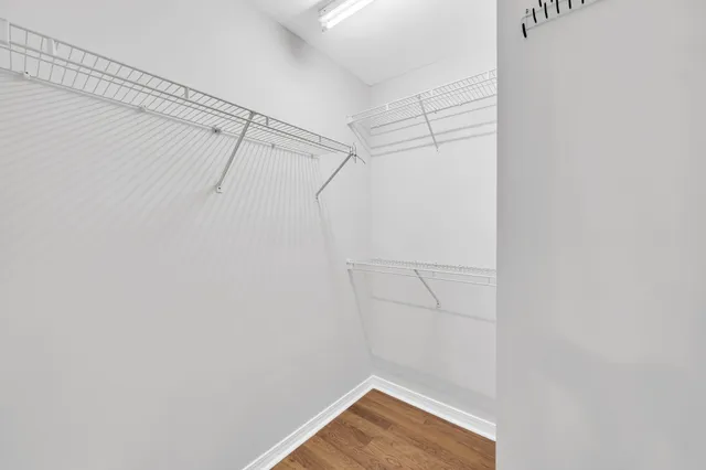 a view of a backyard with large trees