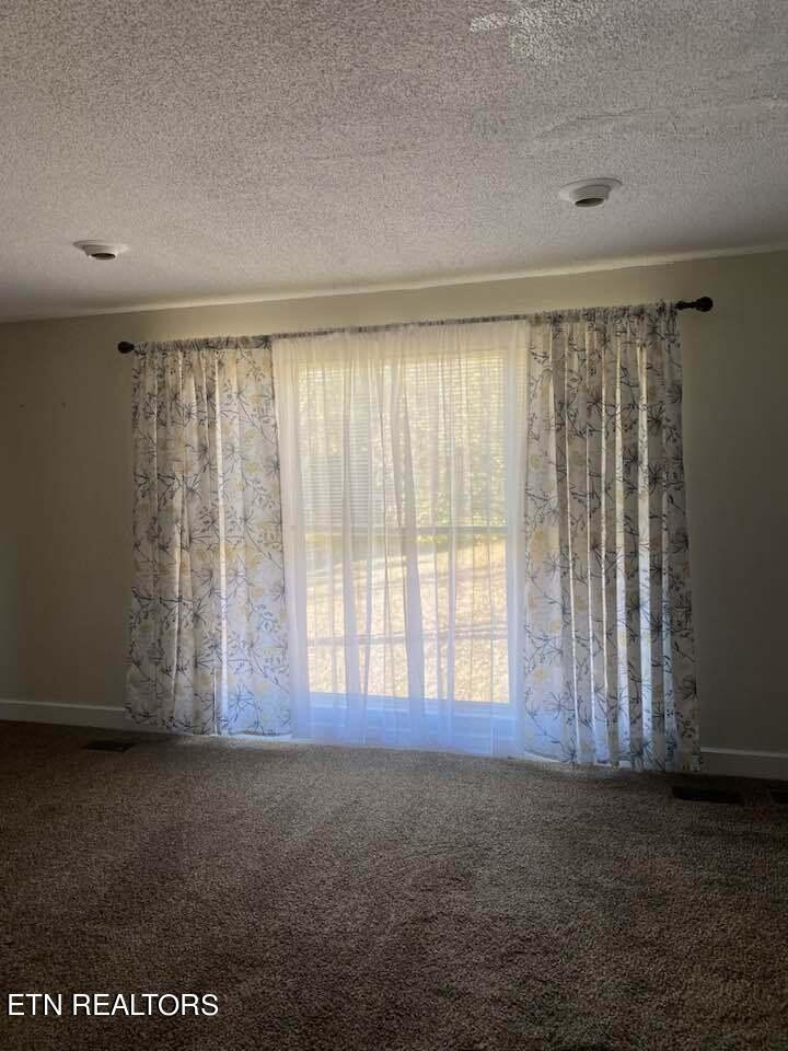 196 Old Sampson Road Pikeville, TN 37367 - Photo 3 of 47 Gallery Image 3