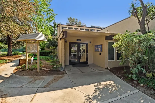 a view of a white house with a large tree and plants