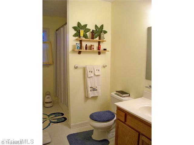 6010 Robinhood Road Pfafftown, NC 27040 - Photo 10 of 11 Other Bath.