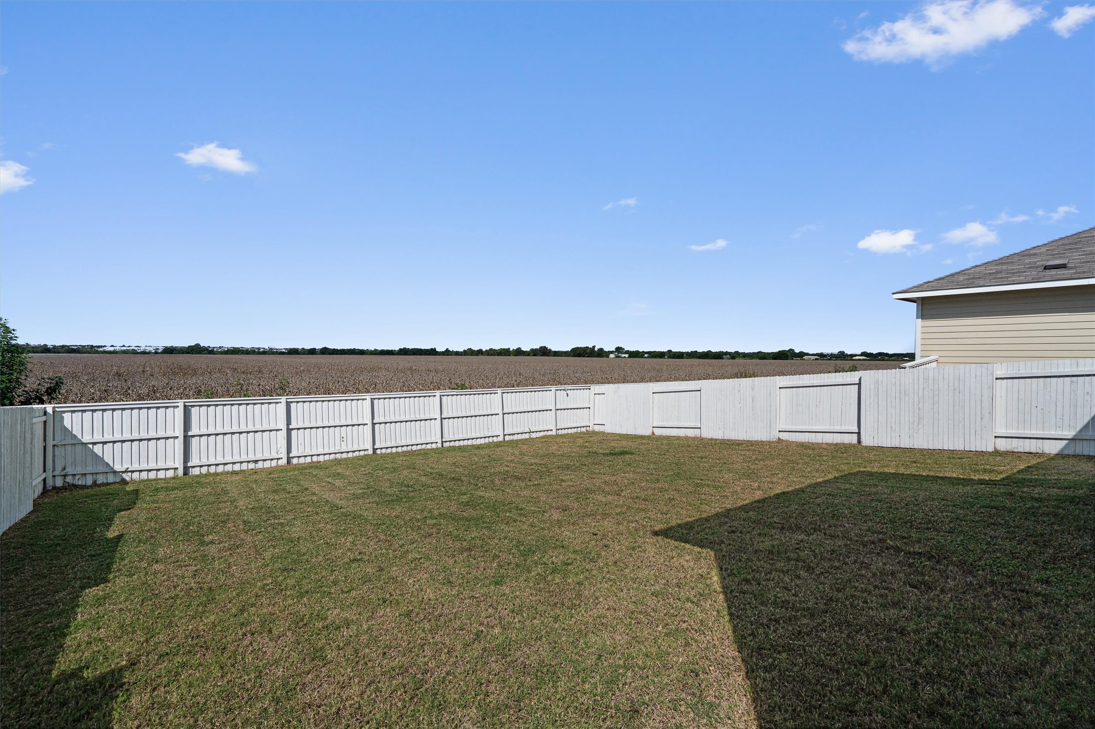 2711 Winding Creek Road Kyle, TX 78640 - Photo 32 of 34 a view of an outdoor space and a big yard