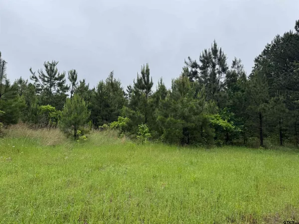 $30,000 | 3369 County Road 2472, Naples, TX 75568