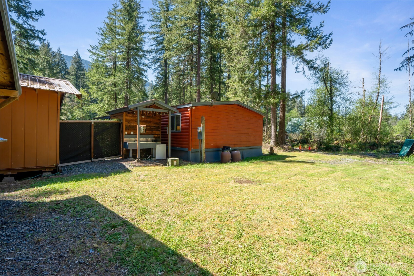 271 Skate Creek Road North Ashford, WA 98304 - Photo 33 of 40 a view of a backyard