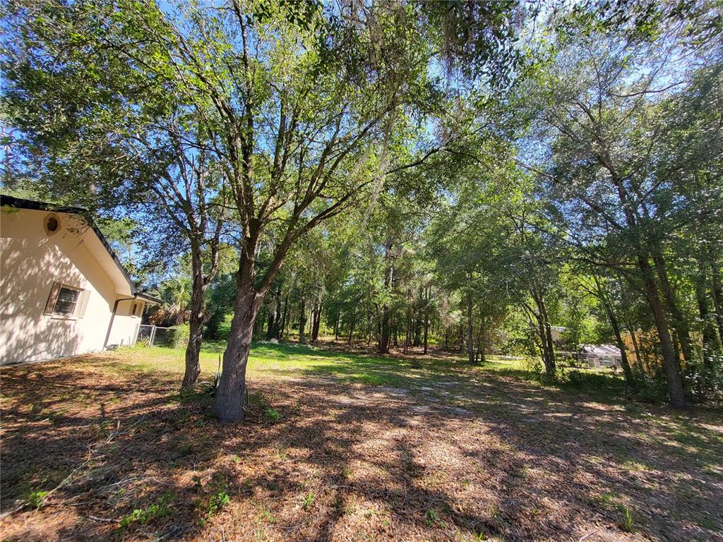6491 East Lowden Street Inverness, FL 34452 - Photo 4 of 4 a view of outdoor space with trees