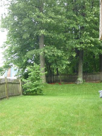 119 Orton Street Extension Worcester, MA 01604 - Photo 27 of 29 a view of a backyard