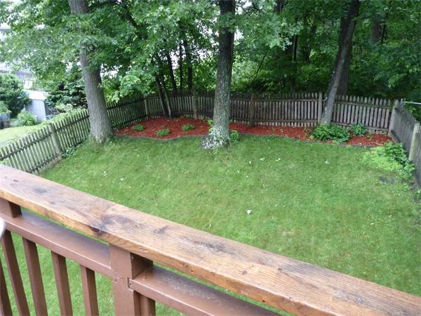 119 Orton Street Extension Worcester, MA 01604 - Photo 28 of 29 a view of a backyard with a small cabin