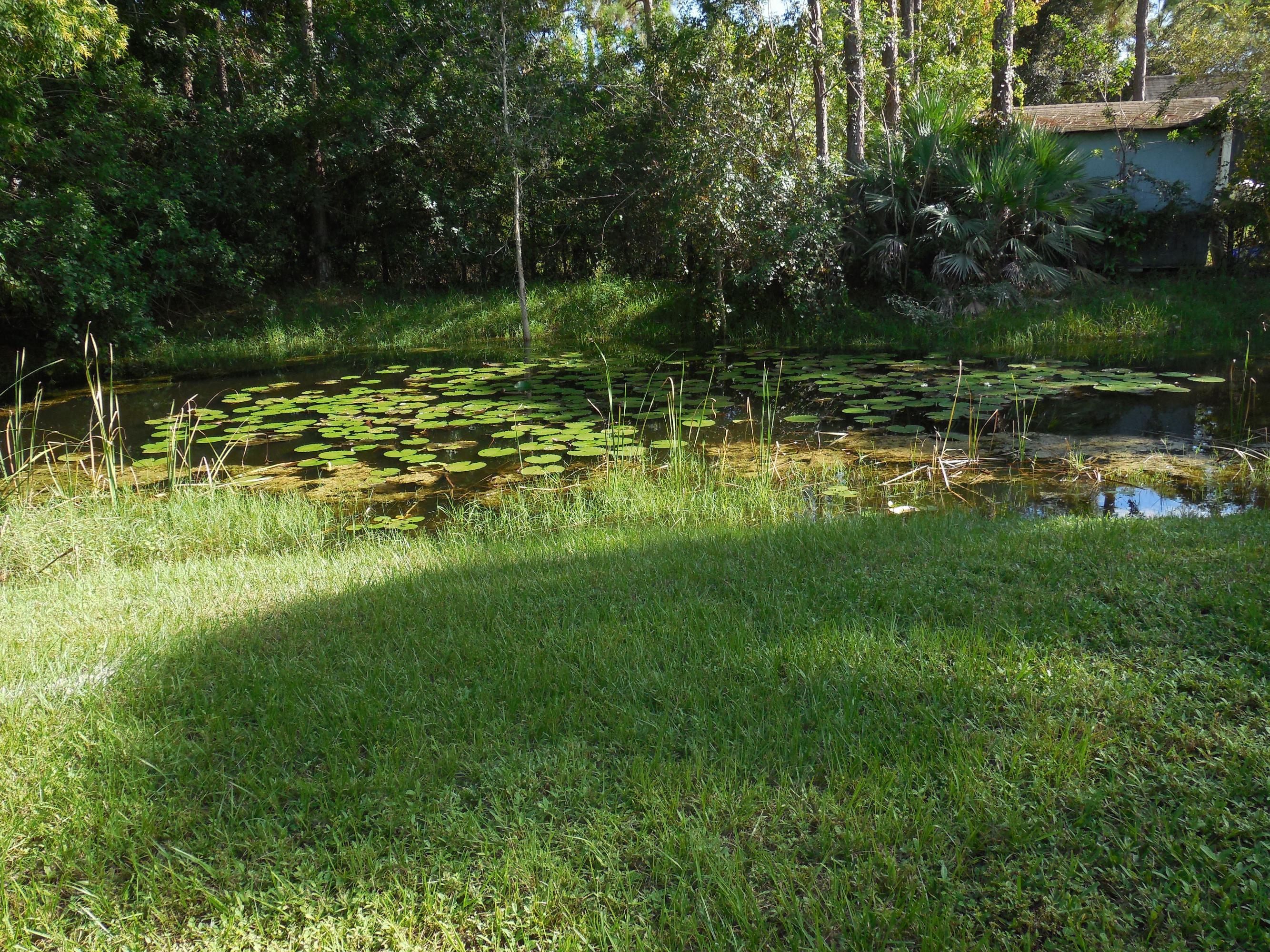 17338 31st Road North Loxahatchee, FL 33470 - Photo 34 of 38 pond