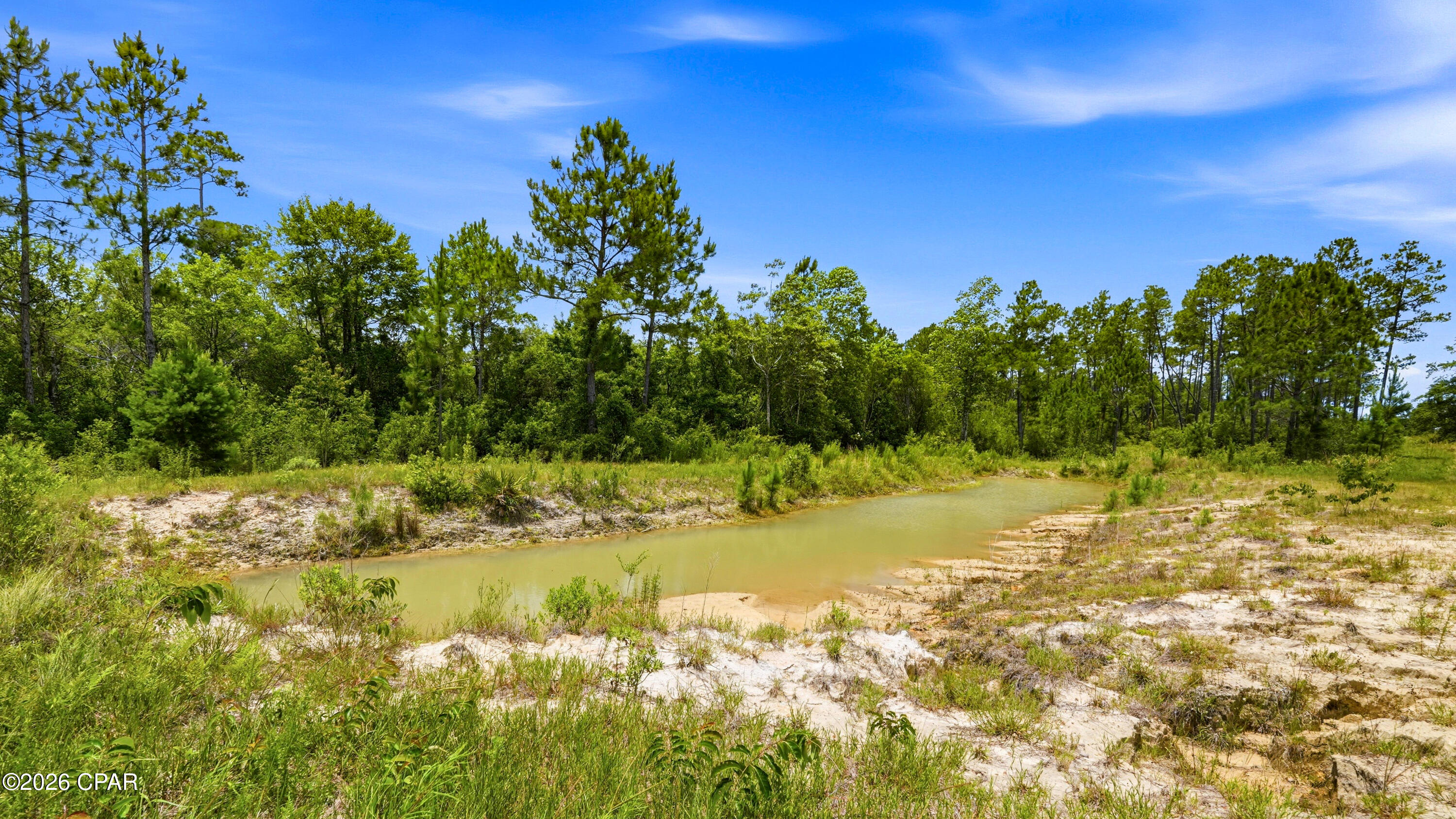 705 Cornwell Road Alford, FL 32420 - Photo 54 of 89